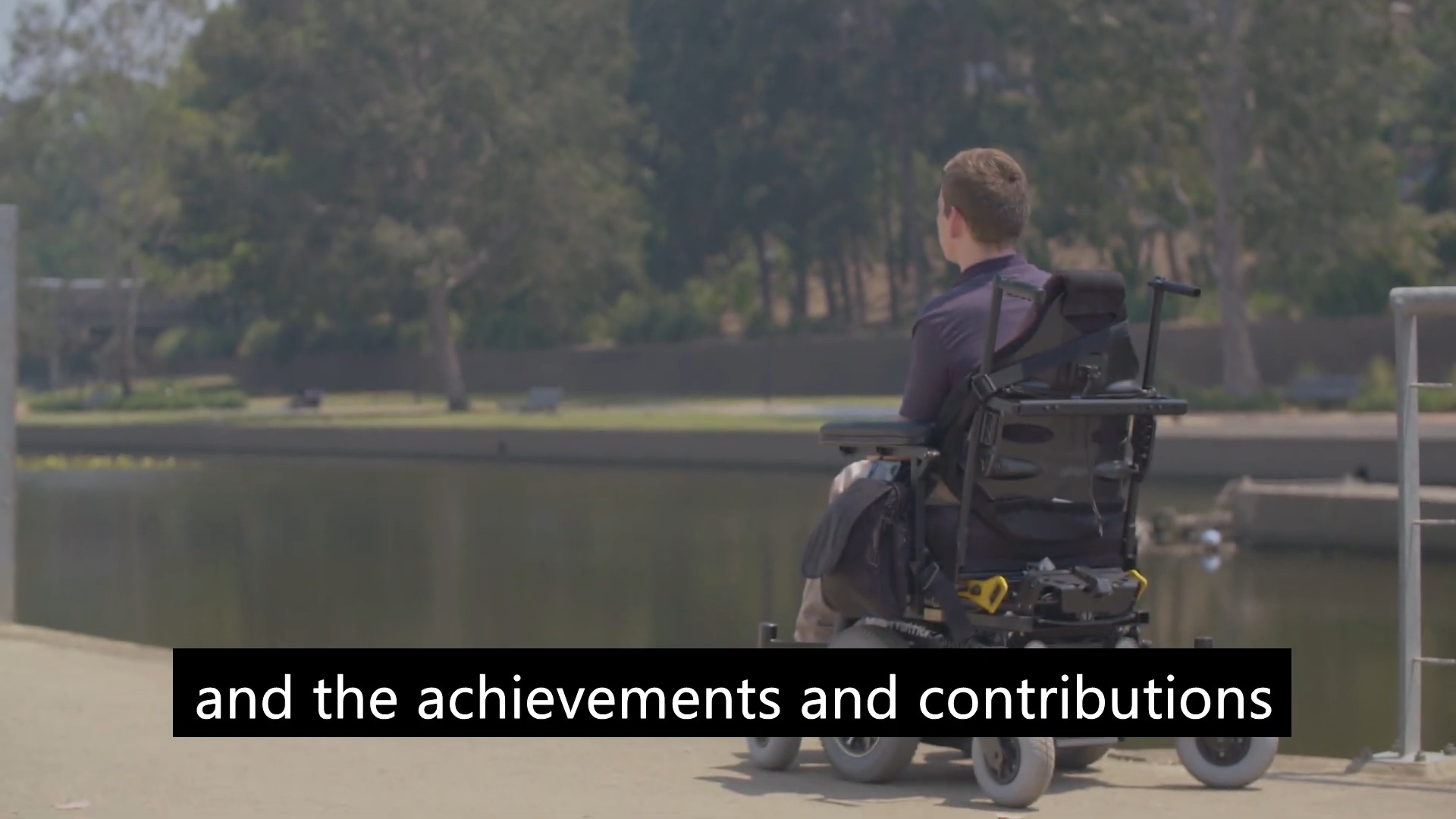 Ageing and Disability Commission