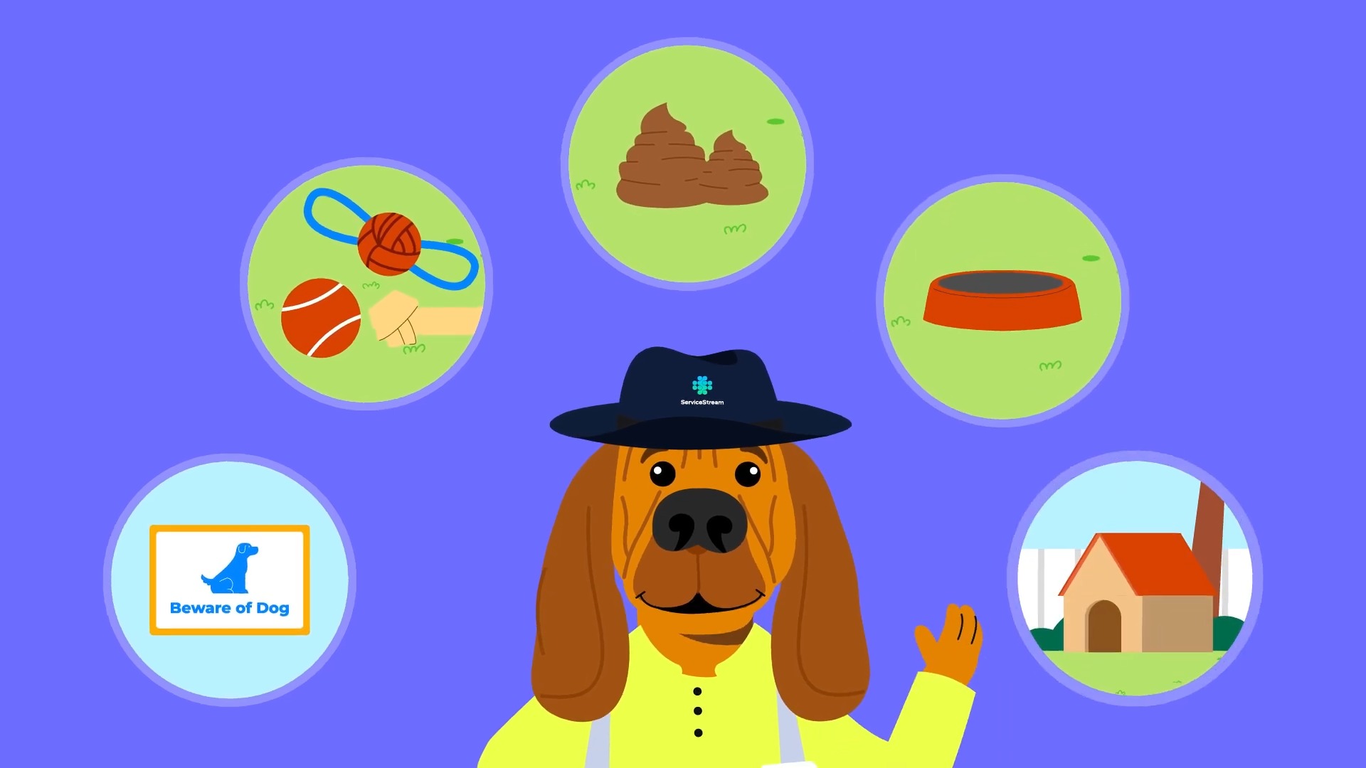 DOGSAFE Meter Reading – Service Stream
