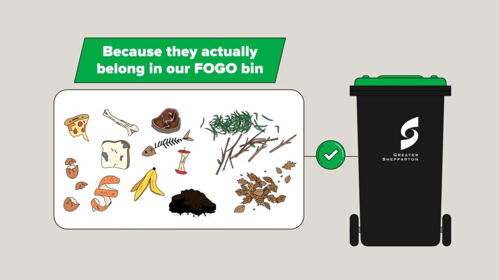 FOGO Contamination - Greater Shepparton City Council