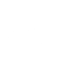 Youth Vaping Prevention for Lung Foundation