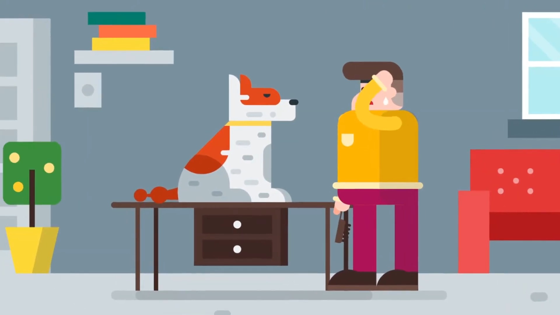 8 Questions to Ask Before You Hire a Sydney Animation Studio