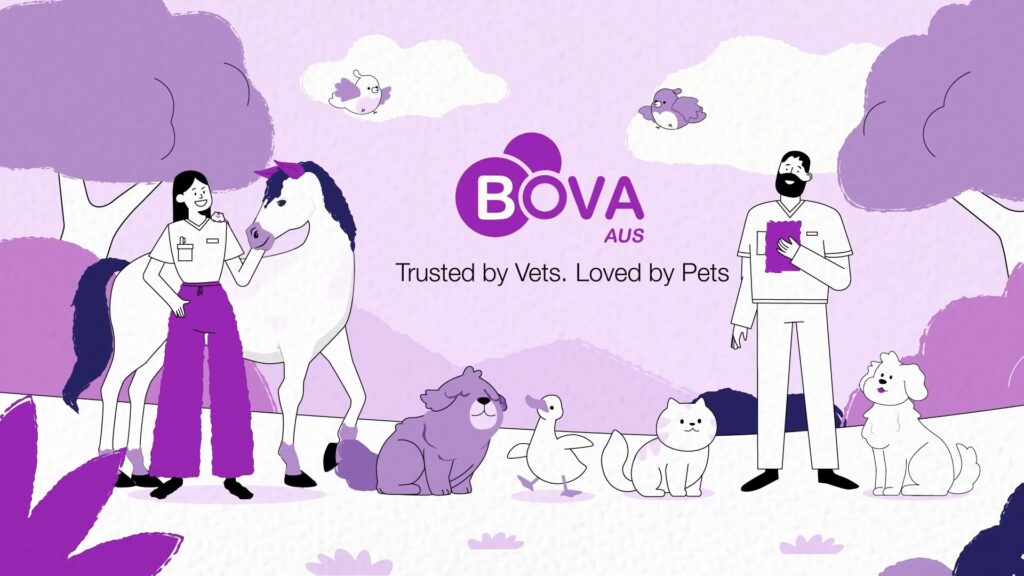 Quality Assured Bova Punchy Studio 1 21 screenshot