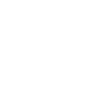 Dementia Prevention Animation for La Trobe University and MindCare Collective