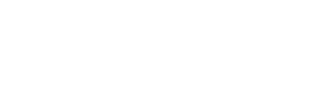 Lung Foundation