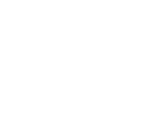 Emerging Minds